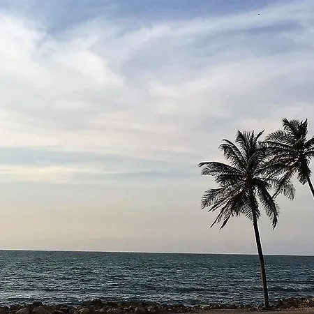 Vista Del Mar *